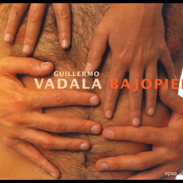 Bajo Piel album cover