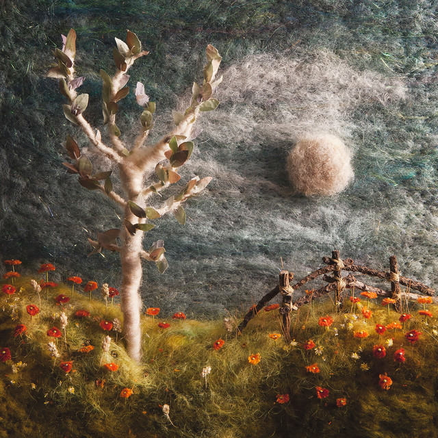 The Days Ahead album cover