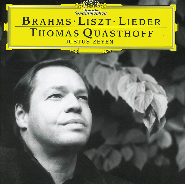 Brahms / Liszt: Lieder album cover
