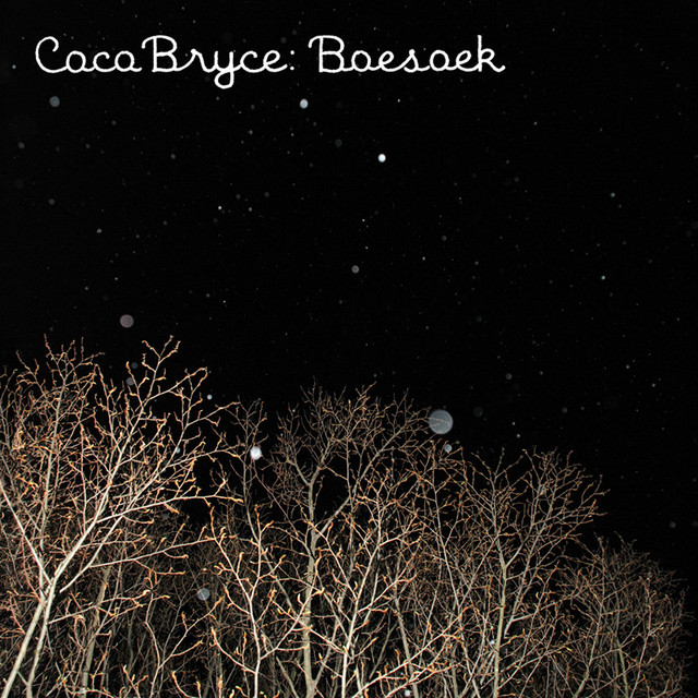Boesoek album cover