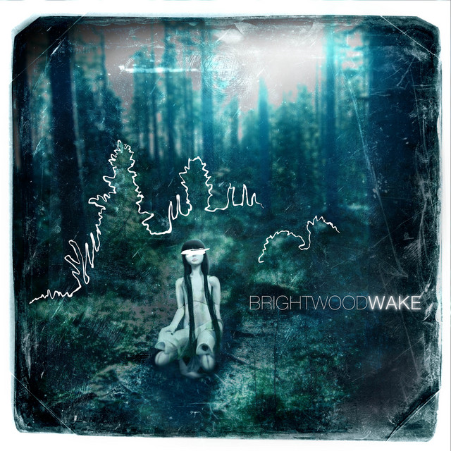 Wake album cover