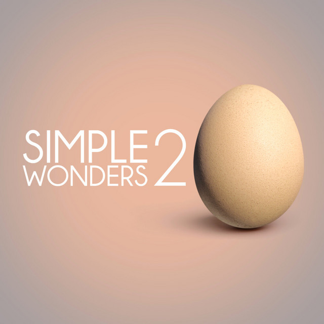 Simple Wonders 2 album cover