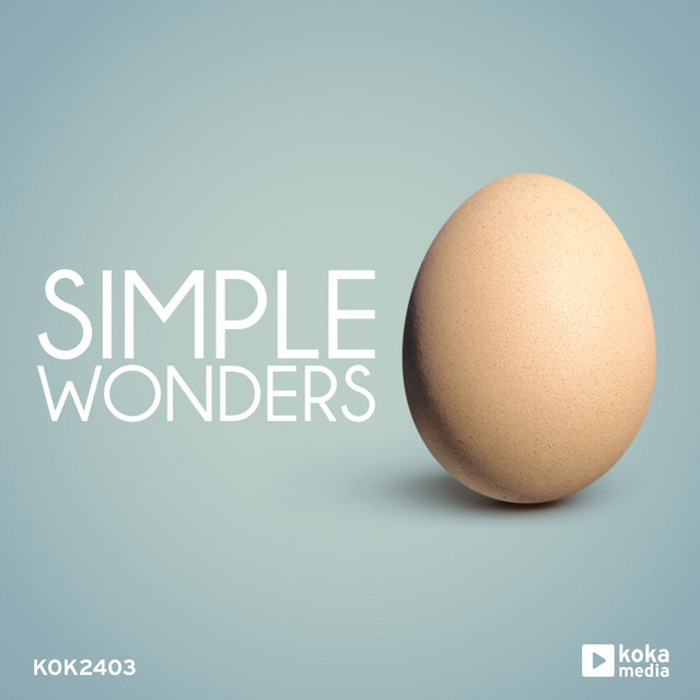 Simple Wonders album cover