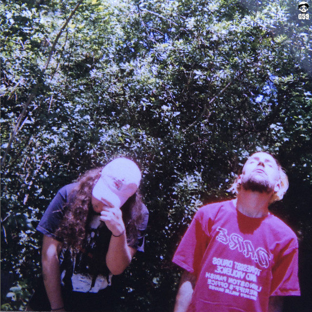 High Tide in the Snake's Nest album cover
