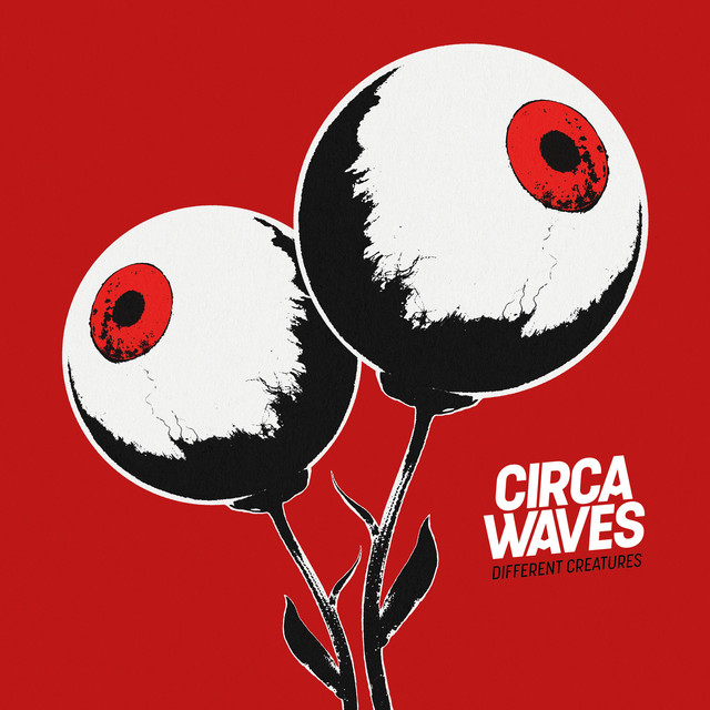 Gibson ES-335 as heard on Different Creatures by Circa Waves & Circa Waves (2017)