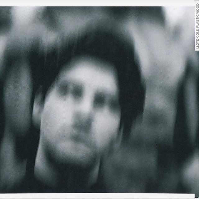 Plastic Wood album cover