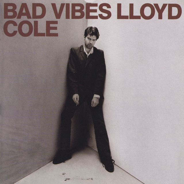 Bad Vibes album cover