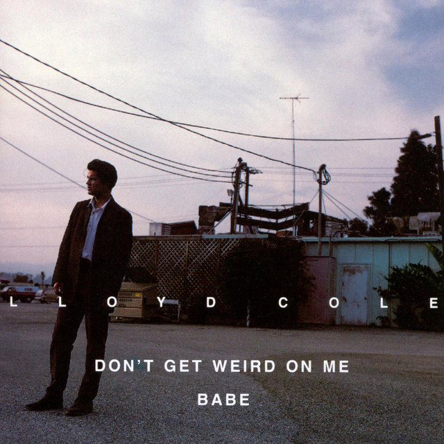 Don't Get Weird On Me, Babe album cover