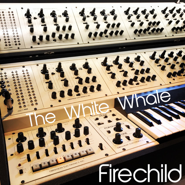 The White Whale album cover