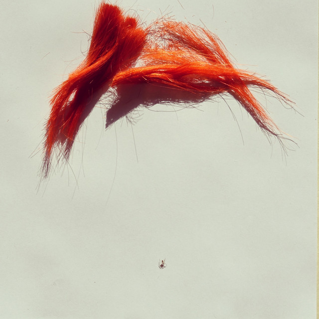 All This Life Going Down album cover