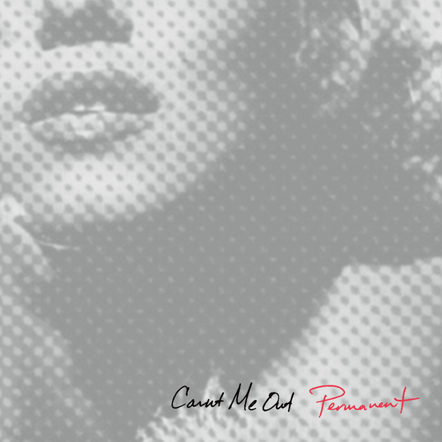Permanent album cover