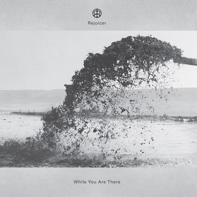 While You Are There album cover