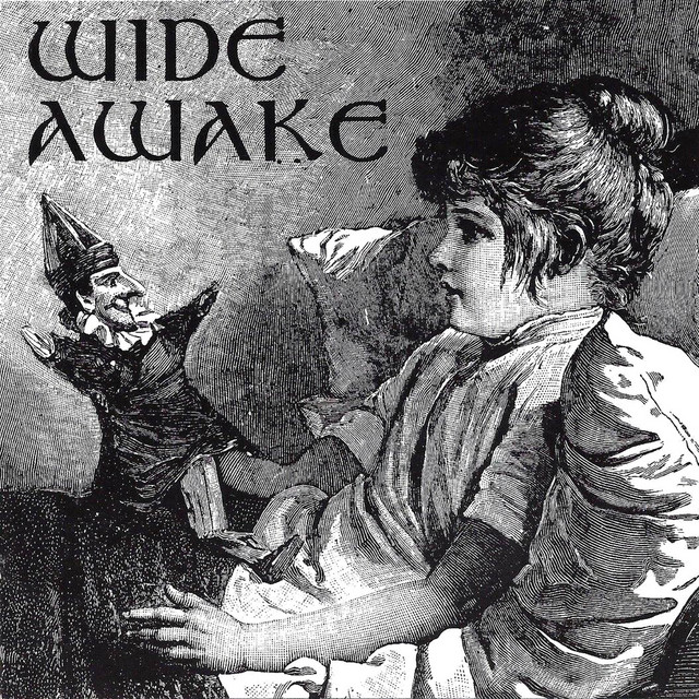 Wide Awake album cover