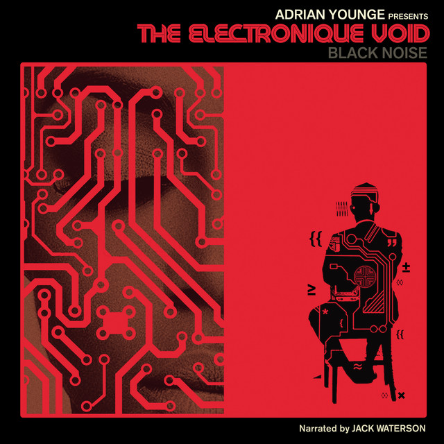Adrian Younge Presents The Electronique Void: Black Noise album cover