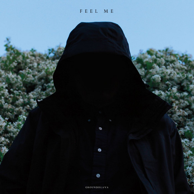 Feel Me album cover