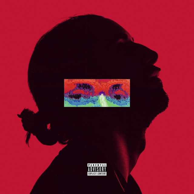 Amina album cover