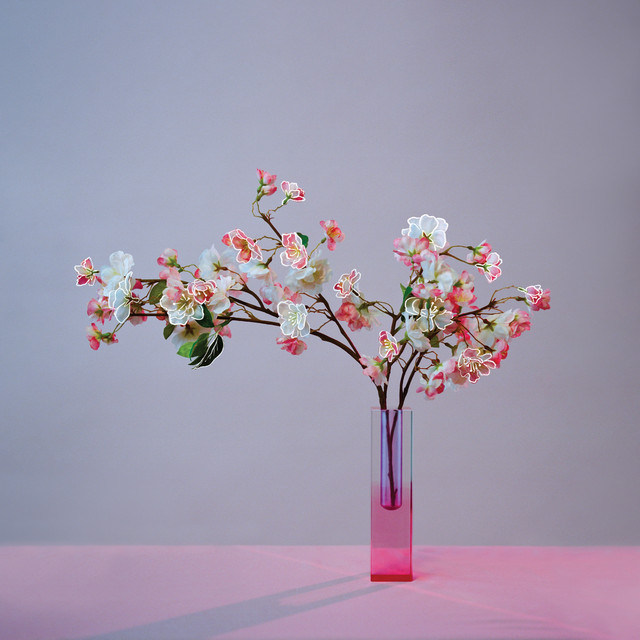 plum blossom (revisited) album cover