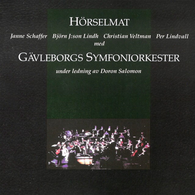 Hörselmat album cover