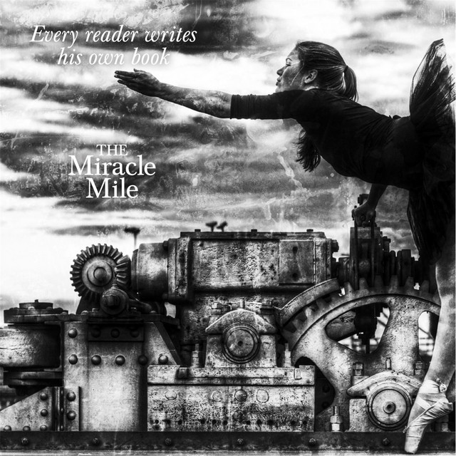 Every Reader Writes His Own Book album cover