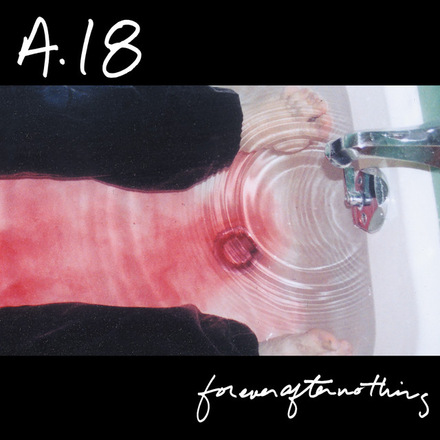 Forever After Nothing album cover
