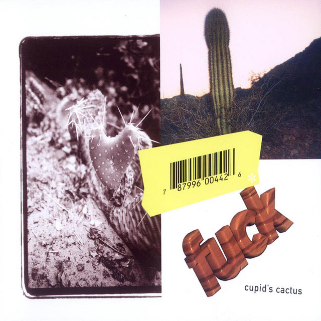 Cupid's Cactus album cover