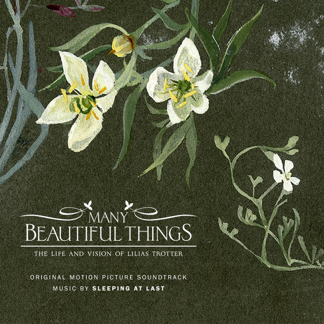 Many Beautiful Things (Original Motion Picture Soundtrack) album cover