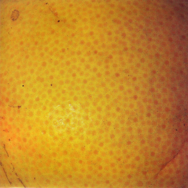Peel album cover