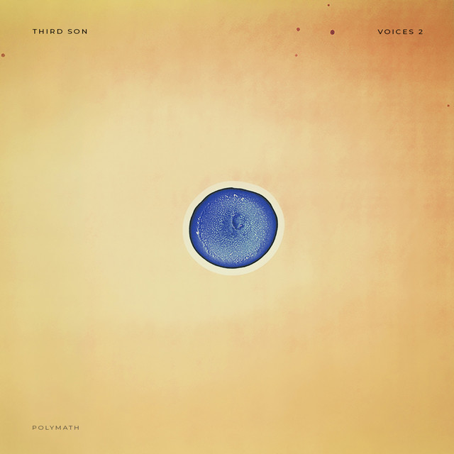 The Need of Repetition album cover
