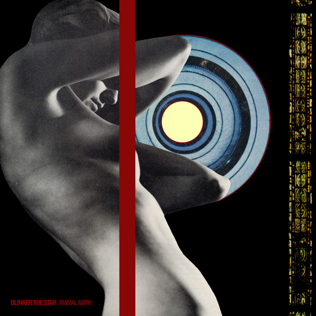Animal Math album cover