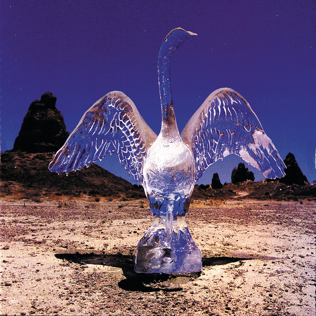 August Everywhere album cover