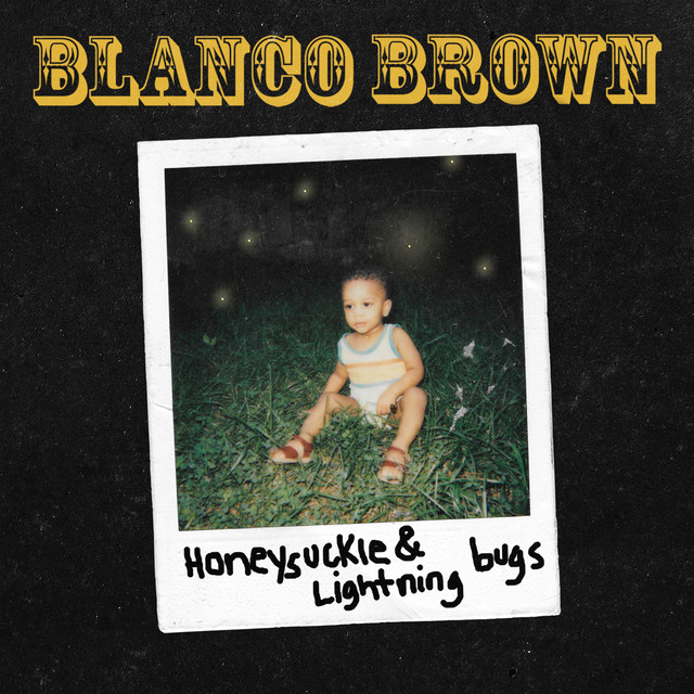 Hohner HW300G as heard on Honeysuckle & Lightning Bugs by Blanco Brown (2019)