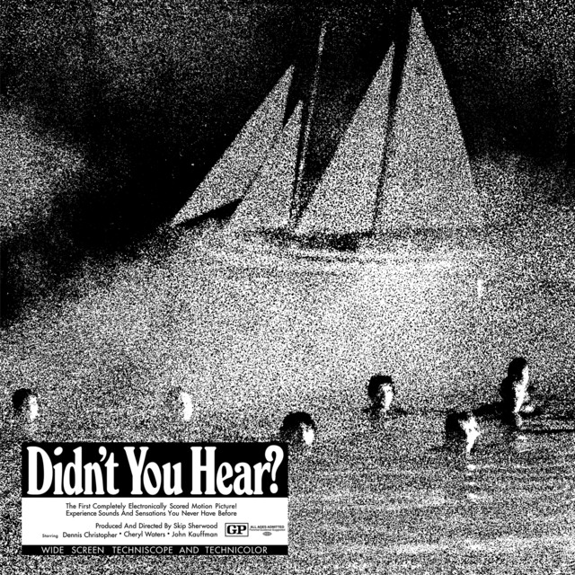 Didn't You Hear? album cover