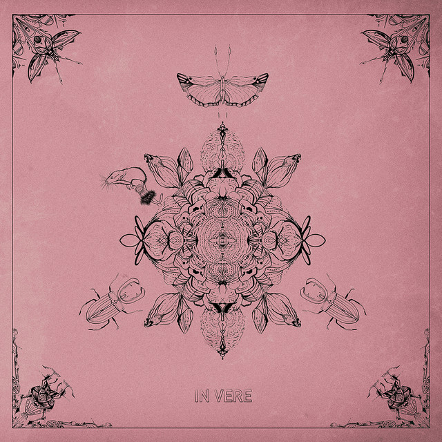 IN VERE album cover