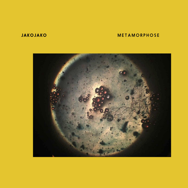 Metamorphose album cover
