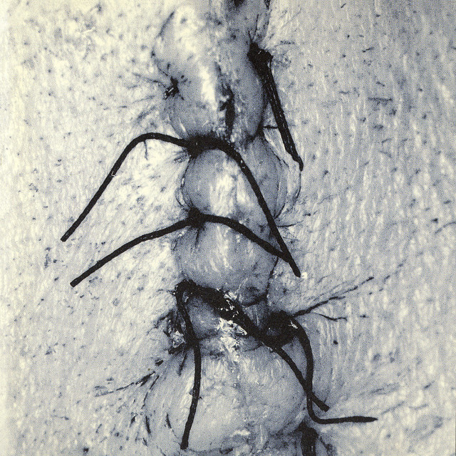 Infliction album cover