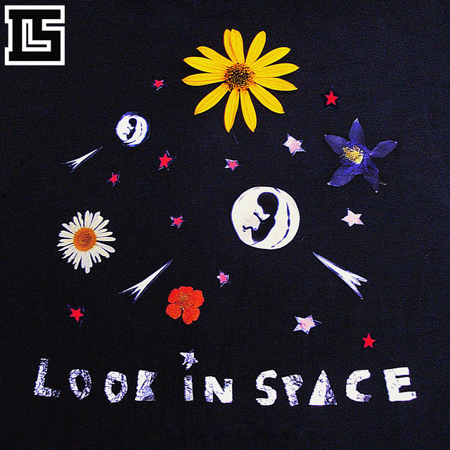 Look in Space album cover