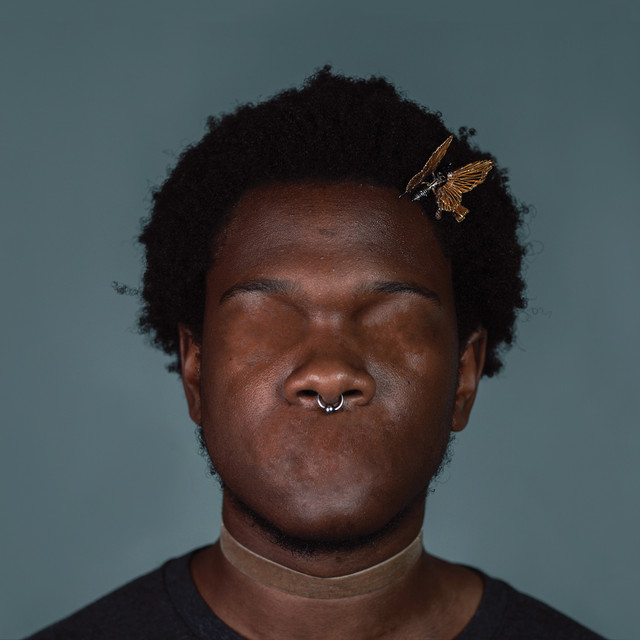 Revelations album cover