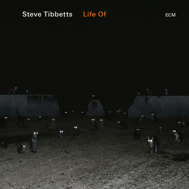 Life Of album cover
