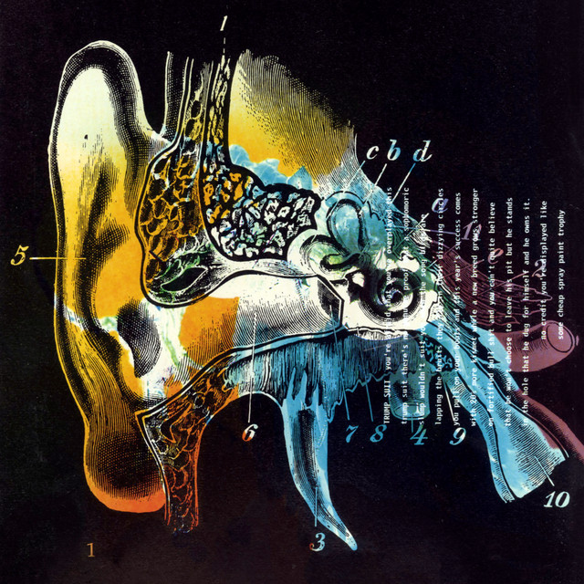 Listening Cap album cover