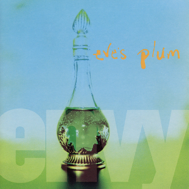 Envy album cover