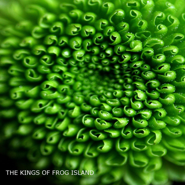 The Kings of Frog Island V album cover
