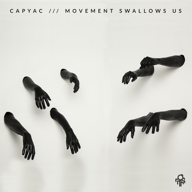 Movement Swallows Us album cover