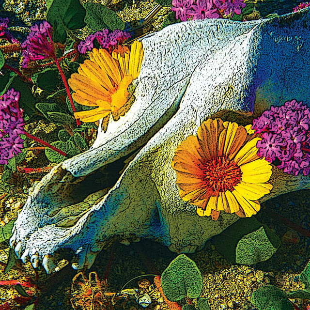 Mercury Sea album cover