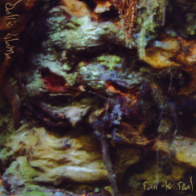 Raw is Real album cover