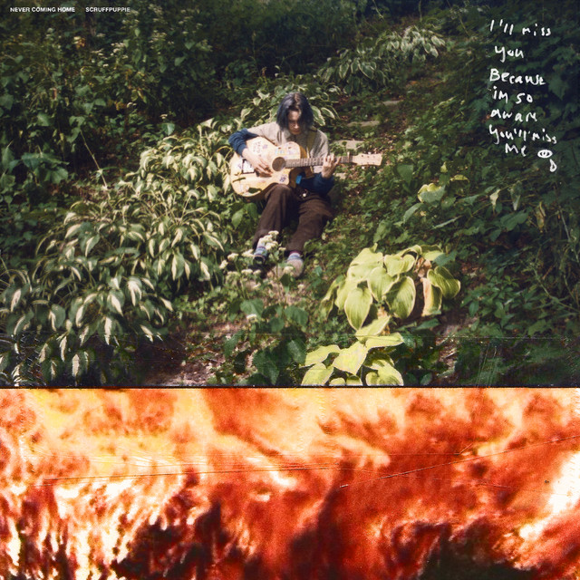 Never Coming Home album cover