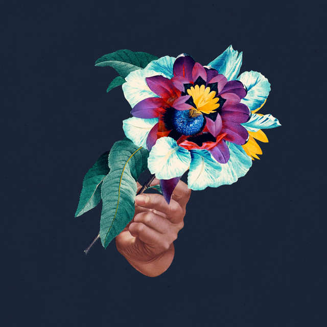 Kingdoms In Colour Remixed album cover