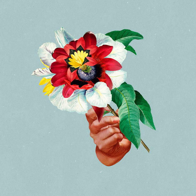 Kingdoms In Colour album cover