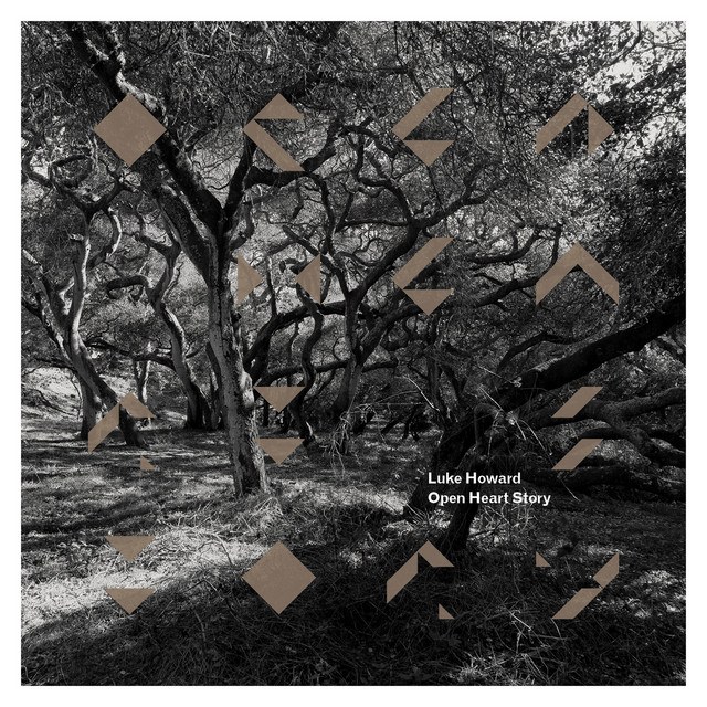 Open Heart Story album cover