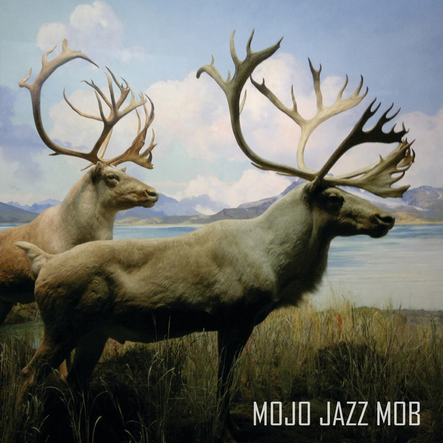 ... Still Hunting album cover