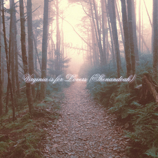Strymon TimeLine as heard on Virginia Is for Lovers (Shenandoah) by Arianna Powell (2021)